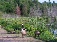 2083 Parc Gatineau 